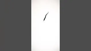 Miniature : Show this crazy worm to your cat and wait his-her reaction 🙀😻 #catgames #catstv #gameforcats