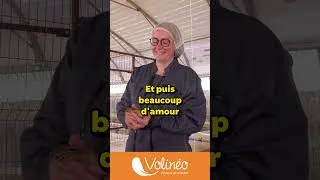 Miniature : Éleveurs Volinéo - Stéphanie Madec