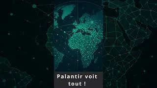 Miniature : Palantir Short