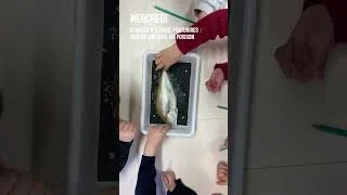 Miniature : Une semaine avec la Maison de la Mer - Semaine du 06 au 10 mars 2023