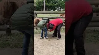 Miniature : 🎥 Retour en images sur le Zoom Métiers dédié aux métiers en lien avec les animaux ! #apprentissage