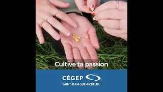 Miniature : Programme GTEA 15 secondes