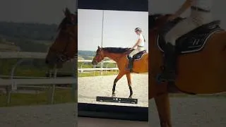 Miniature : JE PASSE À CHEVAL 🤪😎