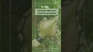 Miniature : Le Hochet Chamanique Fougère - #shamanicsoulhealing  #chaman #shamanicritual  #rattle