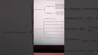 Miniature : Réussir en comptabilité approfondie carte mentale pour t'aider #youtube #fichederevision #dcg