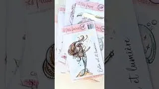 Miniature : PRÉSENTATION NOUVELLE COLLECTION LPF SUNSET ET PAILLETTES