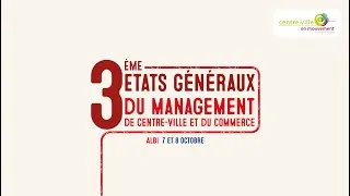 Miniature : 3e États Généraux à Albi