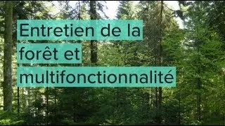 Miniature : Forêt multifonctionnelle - Groupement forestier de la Serine AGFORS