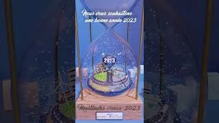 Miniature : Bonne année 2023 !