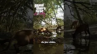 Miniature : LES ANIMAUX DANS GTA 6 VONT ÊTRE ULTRA RÉALISTE !!! #gta6 #gtavi #leaks #gameplay #pourtoi