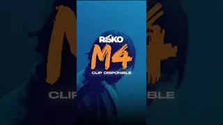 Miniature : Rsko nous balance un nouvel EP