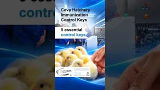 Miniature : C.H.I.C.K Program - 5 essential control keys
