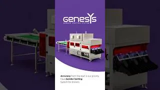Miniature : Discover Genesys: Poultry Gender Sorting System.