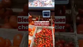 Miniature : Les tomates deviennent un produit de luxe
