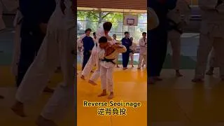 Miniature : Reverse seoi-nage (Fabio Basile) 逆背負投　#judo #bjj #martialarts