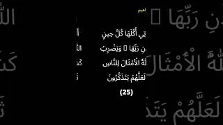 Miniature : أَلَمْ تَرَ كَيْفَ ضَرَبَ اللَّهُ مَثَلًا كَلِمَةً طَيِّبَةً