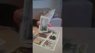 Miniature : dire la vérité pour arrêter une situation.