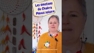 Miniature : Les émotions du Chakra Plexus solaire