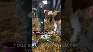 Miniature : [Projet étudiant - La Valentin] La Fédération des Éleveurs et des Vétérinaires En Convention (FEVEC)