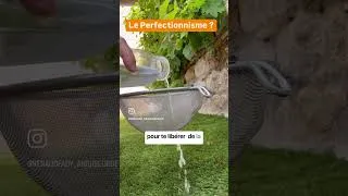 Miniature : Métaphore sur le perfectionnisme ￼
