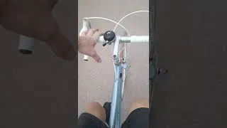 Miniature : fixie raleigh short