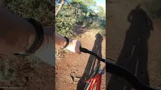 Miniature : TRACKLOCROSS brakeless
