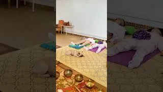 Miniature : relaxation Sonore #love #travel #peace #relax #zen
