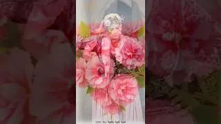 Miniature : مقطع موسيقى 🎶  للأغنية الزينة ياالزينة إنتاج وإخراج عبدالحليم كندي 3026