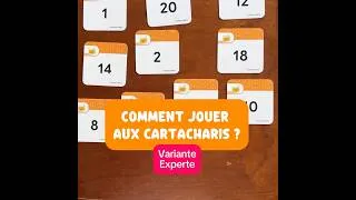Miniature : Voici la vidéo-règle pour la variante experte des Cartacharis.