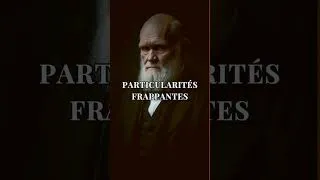 Miniature : New Video