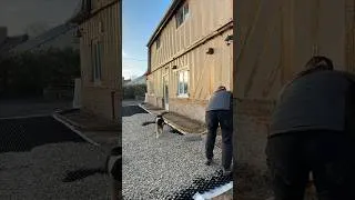 Miniature : Plus jamais de trous dans le gravier 😳Astuce simple | AMAGARD #shorts