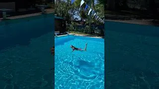 Miniature : Prête à plonger dans une nouvelle semaine 🐳 #newweek #motivation #swimming #974 #tropical