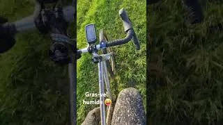 Miniature : Gras-vel humide #gravel #mud #bikepacking #bikepackinggravel #gravelbike #gravelbikes #cycling