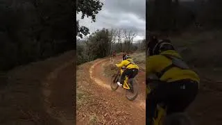 Miniature : Un cycliste en DH percute et tue un chevreuil en pleine course