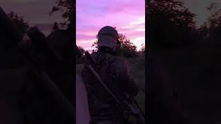 Miniature : Best moment 🌿🔥🔥🔥 #chasse #chasseurs