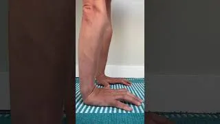Miniature : Handstand drills #handstandgoals #handstand