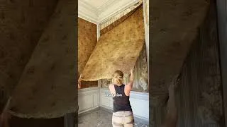 Miniature : An extraordinary discovery revealed! #frenchchâteau