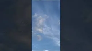 Miniature : Le vol des grues 23 octobre 2024.