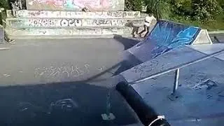 Miniature : Skate Niort
