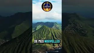 Miniature : VIVRE SEUL EST VRAIMENT MIEUX