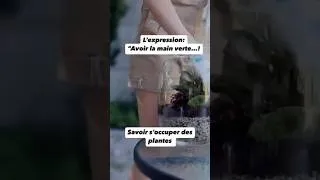 Miniature : 28 mai 2026