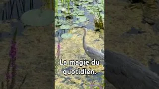 Miniature : Ces petits moments qui font croire à tout le monde que je suis toujours en vacances. 😂 #france
