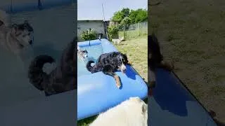 Miniature : Barnabé apprend trop vite 🧠