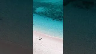 Miniature : Is it the best place to visit in #indonesia ?🤤 #komodo #flores #southeastasia #komodotour #drone