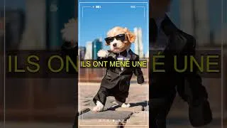 Miniature : Pourquoi vous ne devriez JAMAIS punir votre chien pendant la formation