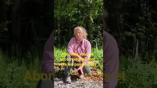 Miniature : Abonnez vous et accompagnez moi vers les pays baltes