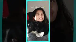 Miniature : Kéos booste les stats 📈🐶