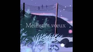 Miniature : Meilleurs vœux pour l'année 2024 ✨