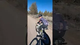 Miniature : Training for tomorrow’s Butterfly Effect