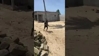 Miniature : entraînement au saut de cheval.